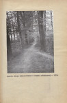 Ewidencja parkowa, skan nr 29