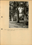 Ewidencja parkowa, skan nr 19