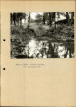 Ewidencja parkowa, skan nr 20