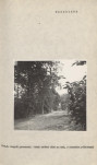 Ewidencja parkowa, skan nr 29