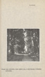 Ewidencja parkowa, skan nr 17