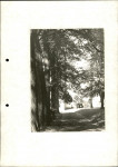 Ewidencja parkowa, skan nr 36