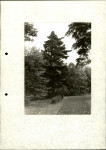 Ewidencja parkowa, skan nr 39