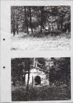 Ewidencja parkowa, skan nr 25
