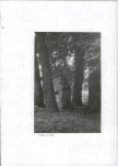 EP - Ewidencja parkowa, skan nr 29