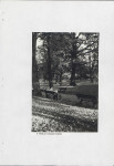 EP - Ewidencja parkowa, skan nr 49