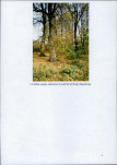 Ewidencja parkowa, skan nr 31