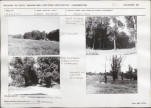 Karta biała, skan nr 36