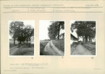 Karta biała, skan nr 11