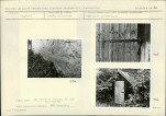 Karta biała, skan nr 54