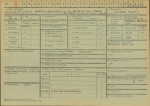 Karta zielona, skan nr 1
