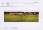 KB - Karta biała, skan nr 11