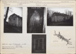 Karta biała, skan nr 5