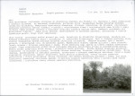 KB - Karta biała, skan nr 8