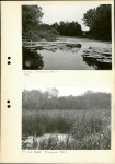 Ewidencja parkowa, skan nr 14