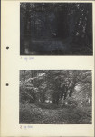 Ewidencja parkowa, skan nr 15