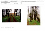 KB - Karta biała, skan nr 11