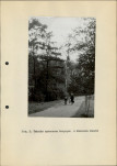 Ewidencja parkowa, skan nr 24
