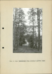 Ewidencja parkowa, skan nr 25