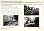 Karta biała, skan nr 13