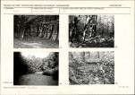 Karta biała, skan nr 15