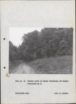 EP - Ewidencja parkowa, skan nr 26