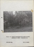 EP - Ewidencja parkowa, skan nr 30