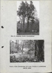 Ewidencja parkowa, skan nr 21