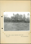 Ewidencja parkowa, skan nr 26