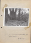Ewidencja parkowa, skan nr 30