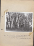 Ewidencja parkowa, skan nr 35