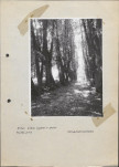 Ewidencja parkowa, skan nr 20