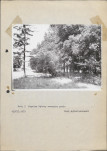 Ewidencja parkowa, skan nr 21
