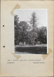 Ewidencja parkowa, skan nr 22