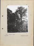 Ewidencja parkowa, skan nr 23