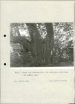 Ewidencja parkowa, skan nr 23