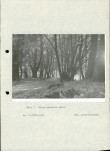Ewidencja parkowa, skan nr 24