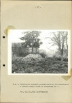 Ewidencja parkowa, skan nr 21