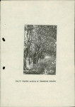 Ewidencja parkowa, skan nr 19