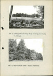 Ewidencja parkowa, skan nr 20