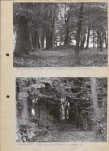 Ewidencja parkowa, skan nr 11