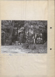 Ewidencja parkowa, skan nr 13