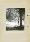 Ewidencja parkowa, skan nr 15