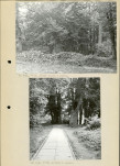 Ewidencja parkowa, skan nr 13