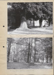 Ewidencja parkowa, skan nr 11