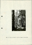 Ewidencja parkowa, skan nr 25