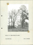 Ewidencja parkowa, skan nr 29