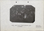 Ewidencja parkowa, skan nr 19