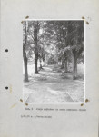 Ewidencja parkowa, skan nr 22
