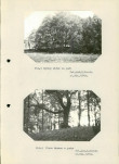 Ewidencja parkowa, skan nr 19